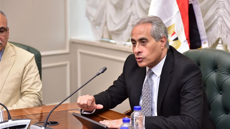 حسن شحاتة وزير العمل،فيتو
