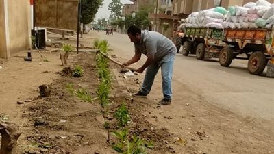 محافظ الغربية يتابع جهود الوحدات المحلية في زراعة أشجار مثمرة وأخرى للزينة