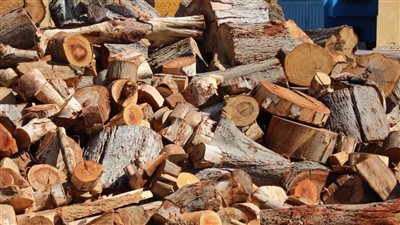  حجم الاستثمارات الأردنية بأول مصنع لإنتاج الأخشاب بالصعيد 