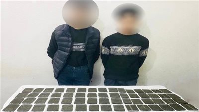 ضبط كمية من المواد المخدرة بحوزة 4 عناصر إجرامية بدمياط