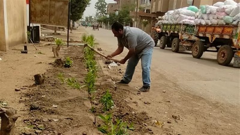 تشجير طريق مصر أسوان