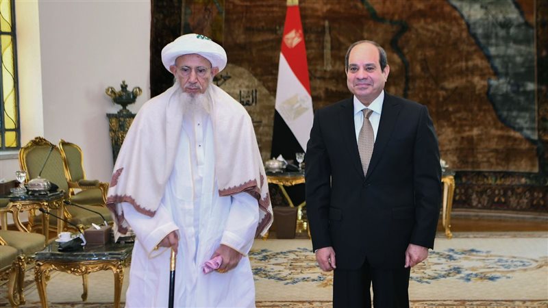 الرئيس السيسي خلال