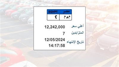 الداخلية تطرح لوحة معدنية مميزة بسعر يتجاوز 12 مليون جنيه 