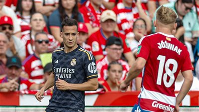 ريال مدريد يضرب غرناطة برباعية في الدوري الإسباني (فيديو)