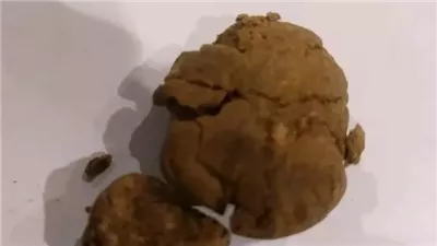 ضبط حشيش بحوزة 3 ركاب في مطار الغردقة (صور)