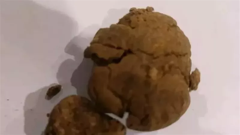 المضبوطات بحوزة رجال