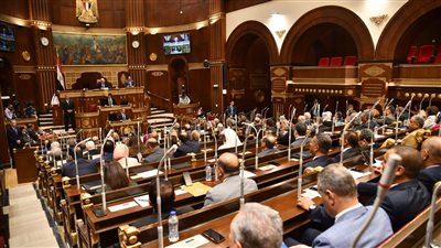 رئيس مجلس الشيوخ يفتتح الجلسة العامة لمناقشة السياسات المالية والضريبية 