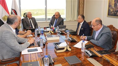 وزير قطاع الأعمال يبحث إمكانية صناعة الإطارات للمركبات ووسائل النقل الصغيرة 