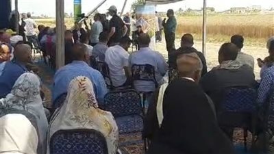 9 محافظات تشارك في احتفالية حصاد القمح بالبحيرة 