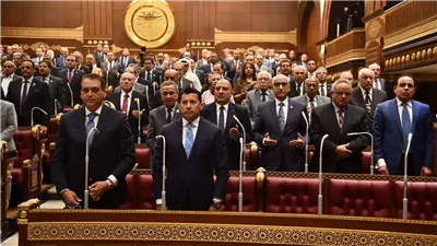 إحالة طلب التوسع في مراكز التنمية الشبابية للجنة الرياضة بالشيوخ 