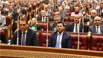 وزير الرياضة يكشف بالأرقام أمام الشيوخ حجم إنجازات مراكز التنمية الشبابية 