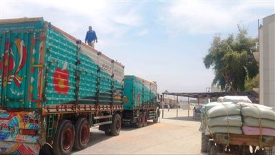 توريد 58 ألف طن قمح لشون وصوامع سوهاج 