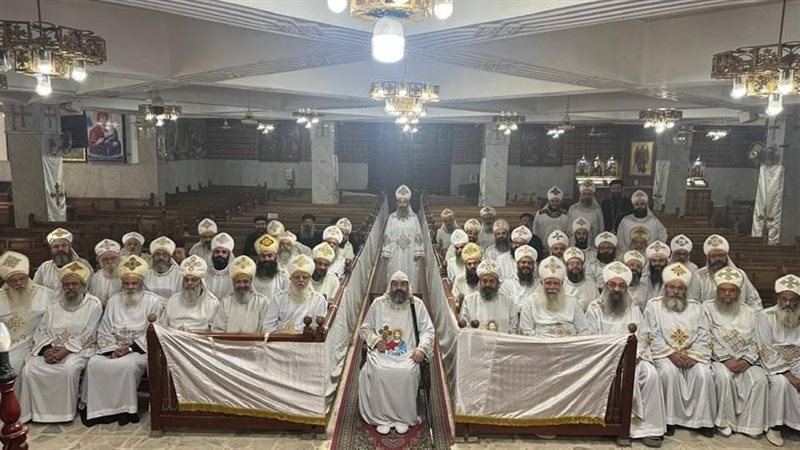 كهنة إيبارشية المنصورة،فيتو