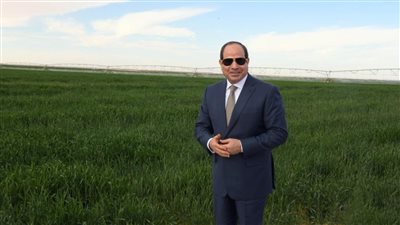تعرف على أهم مشروعات التنمية الزراعية في مصر