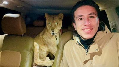 طريقك للنجاح منافسة الناجحين وليس محاربتهم، آخر ما كتبه يوسف العادلي أصغر مربي نعام