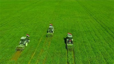 وقت الحصاد... «فيتو» داخل مشروع مستقبل مصر بالضبعة... يمتد حتى حدود ليبيا... والسيسي يوجه بزراعة 4.5 ملايين فدان بالصحراء