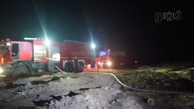 اندلاع حريق بمزارع نخيل في الوادي الجديد (صور)