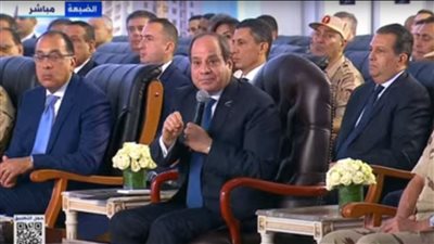 الرئيس السيسي يضع حلا لتجاوز أزمة الدولار