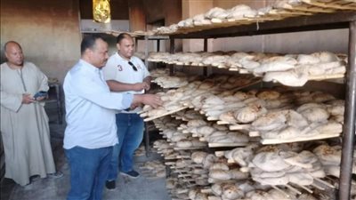 تحرير 35 مخالفة تموينية في حملة على مخابز الفيوم 