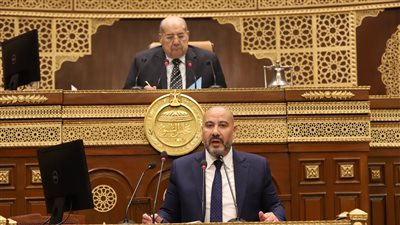 نائب: النظام الضريبي «جباية»، وعلينا التفرقة بين الاستثمار الحقيقي ومطاعم الشاورما