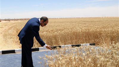 20 معلومة عن جهاز مستقبل مصر للتنمية المستدامة تزامنا مع بدء موسم الحصاد (صور)