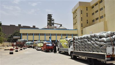 شون وصوامع أسيوط تستقبل 105 آلاف طن قمح منذ بداية الموسم 