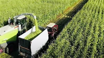 لتحقيق الاكتفاء الذاتي، تفاصيل مشروع مستقبل مصر للتنمية المستدامة (إنفوجراف)