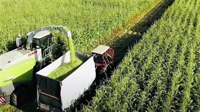 متى تنتهي الدولة من استصلاح 4 ملايين فدان؟ الزراعة تجيب