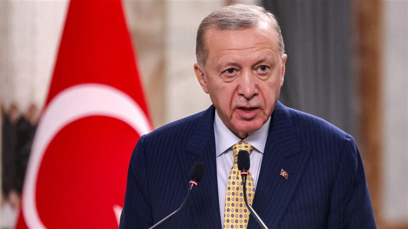 أردوغان، فيتو 