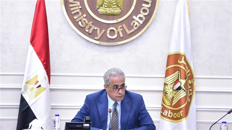 حسن شحاتة وزير العمل،