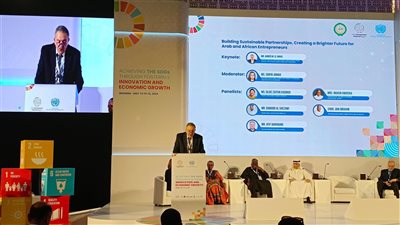 الوكيل يوضح الأهداف والآليات التنفيذية للتعاون العربي الأفريقي المشترك