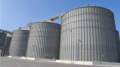 أستاذ زراعة حيوية: الصوامع تساعد في تخزين 800 ألف طن محاصيل ( فيديو)