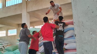 توريد 176 ألف طن قمح لشون وصوامع البحيرة 