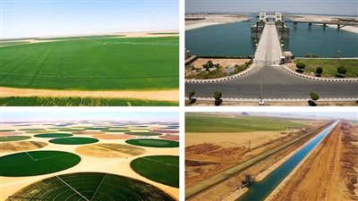 على مساحة 15 ألف فدان، تفاصيل المرحلة الأولى من مشروع الداخلة-العوينات (إنفوجراف) 