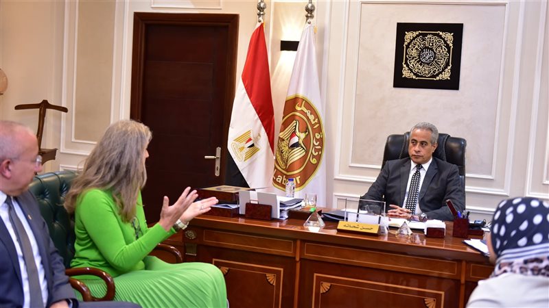 حسن شحاتة وزير العمل،فيتو
