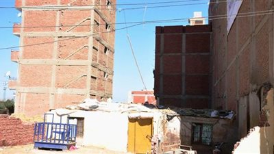 تحصين697 ألف طائر ضد الأمراض الوبائية بالشرقية