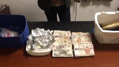 ضبط محاولة تهريب نقد مصري داخل 