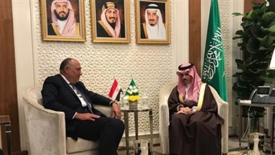 شكري يسلم نظيره السعودى رسالة من السيسي إلى الملك سلمان حول سد النهضة | صور