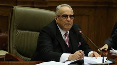 بهاء أبو شقة: الوفد يعمل من أجل الوطن والمواطنين