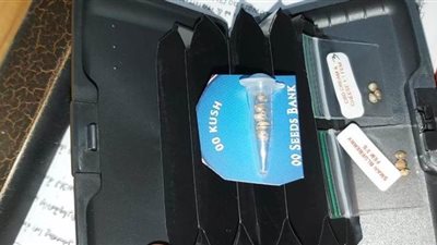 إحباط محاولة تهريب مخدرات داخل حافظة كروت بمطار القاهرة