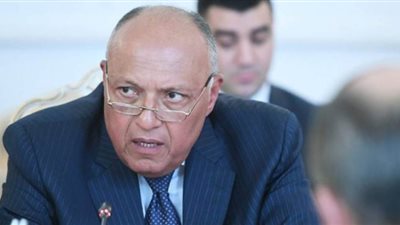 وزير الخارجية يسلم أمير الكويت رسالة من الرئيس السيسي