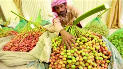 كورونا يتسبب في تأجيل المهرجان الدولي للتمور فى الوادى الجديد