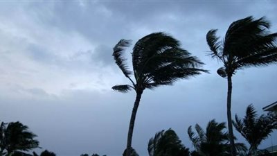 منافع الرياح لأهل الأرض