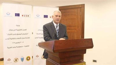 الإفراج عن سيارات بـ5.2 مليار جنيه بجمارك الإسكندرية في فبراير