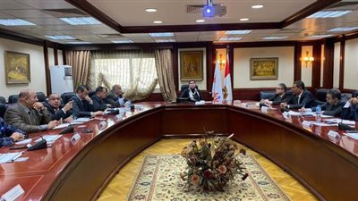 نيفين جامع تؤكد سرعة البدء في تنفيذ استراتيجية صناعة السيارات