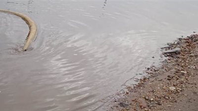 صرف وجبة غذائية ومكافأة فورية لعمال شفط مياه الأمطار بالمنوفية