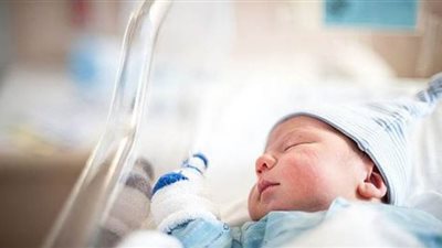 المقرر السابق لـ