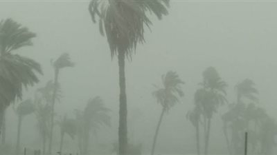 انقطاع الكهرباء عن عدد من المناطق في أسيوط بسبب العاصفة الترابية | صور