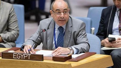 مصر أمام مجلس الأمن: نرفض نشر المقاتلين الأجانب في ليبيا