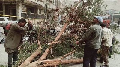 انهيار جزئي بمنزل وتهشم 3 سيارات وسقوط أشجار بسبب الطقس السيء في أسيوط